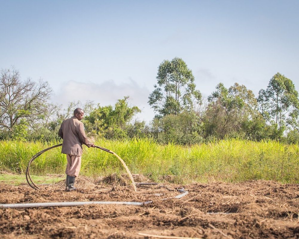 Man watering crops in Africa