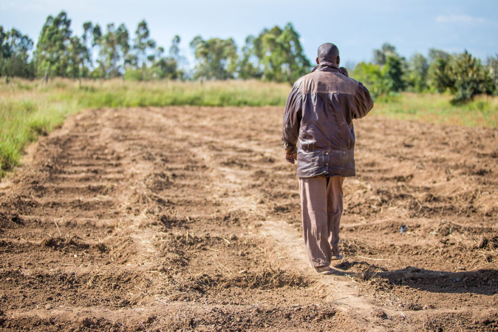 Man in a field in Kenya