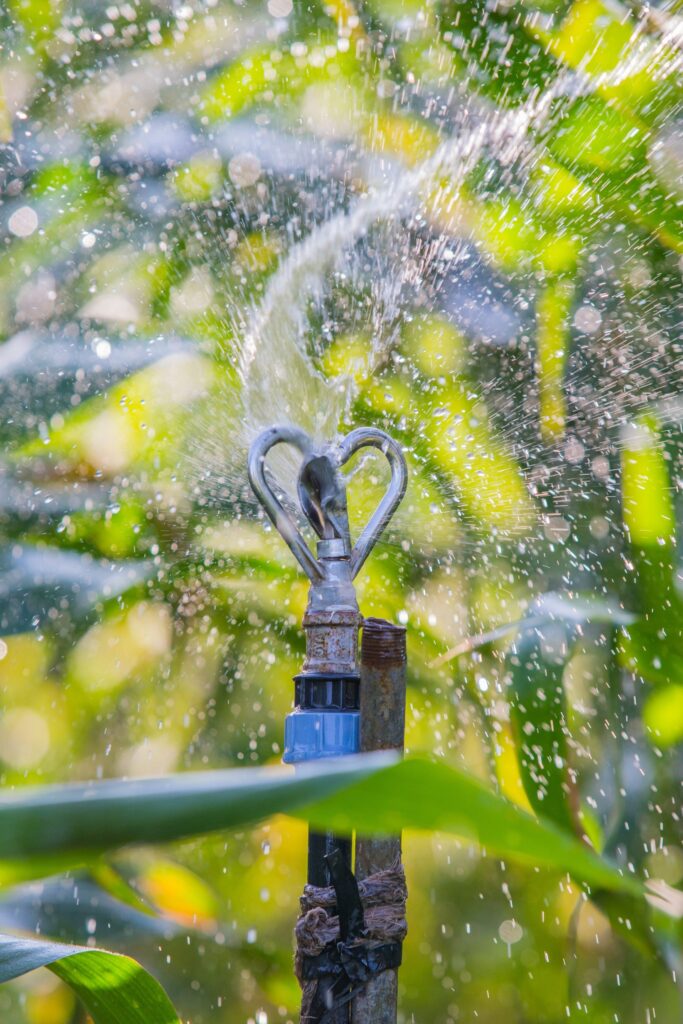 Irrigation system spraying water