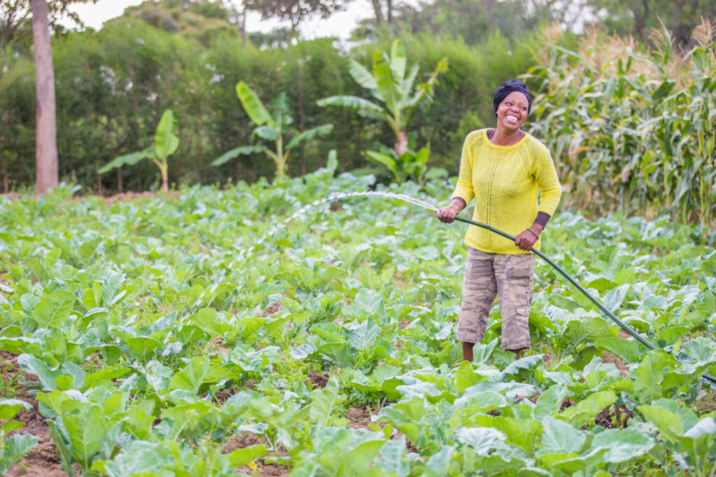 Female farmer watering her crop