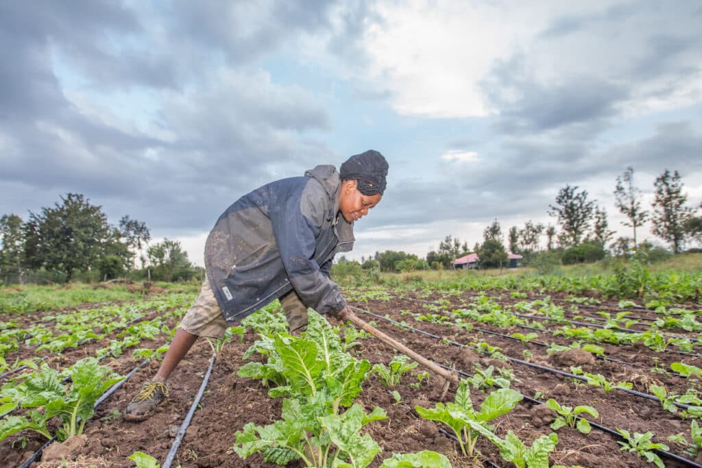 Woman tending to her field in Kenya