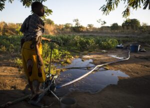 lady in field with irrigation system