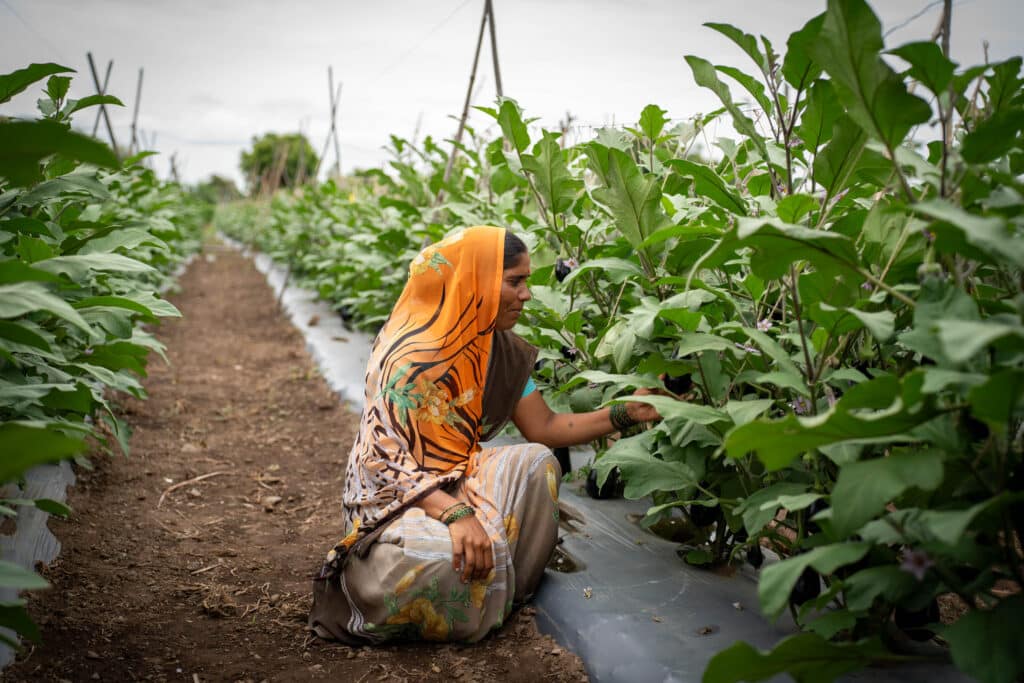 Female farmer in India