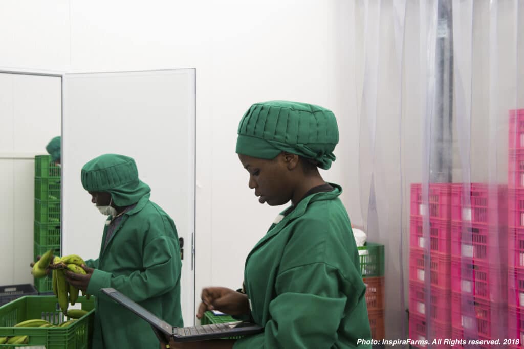 Two women working at InspiraFarms in Rwanda